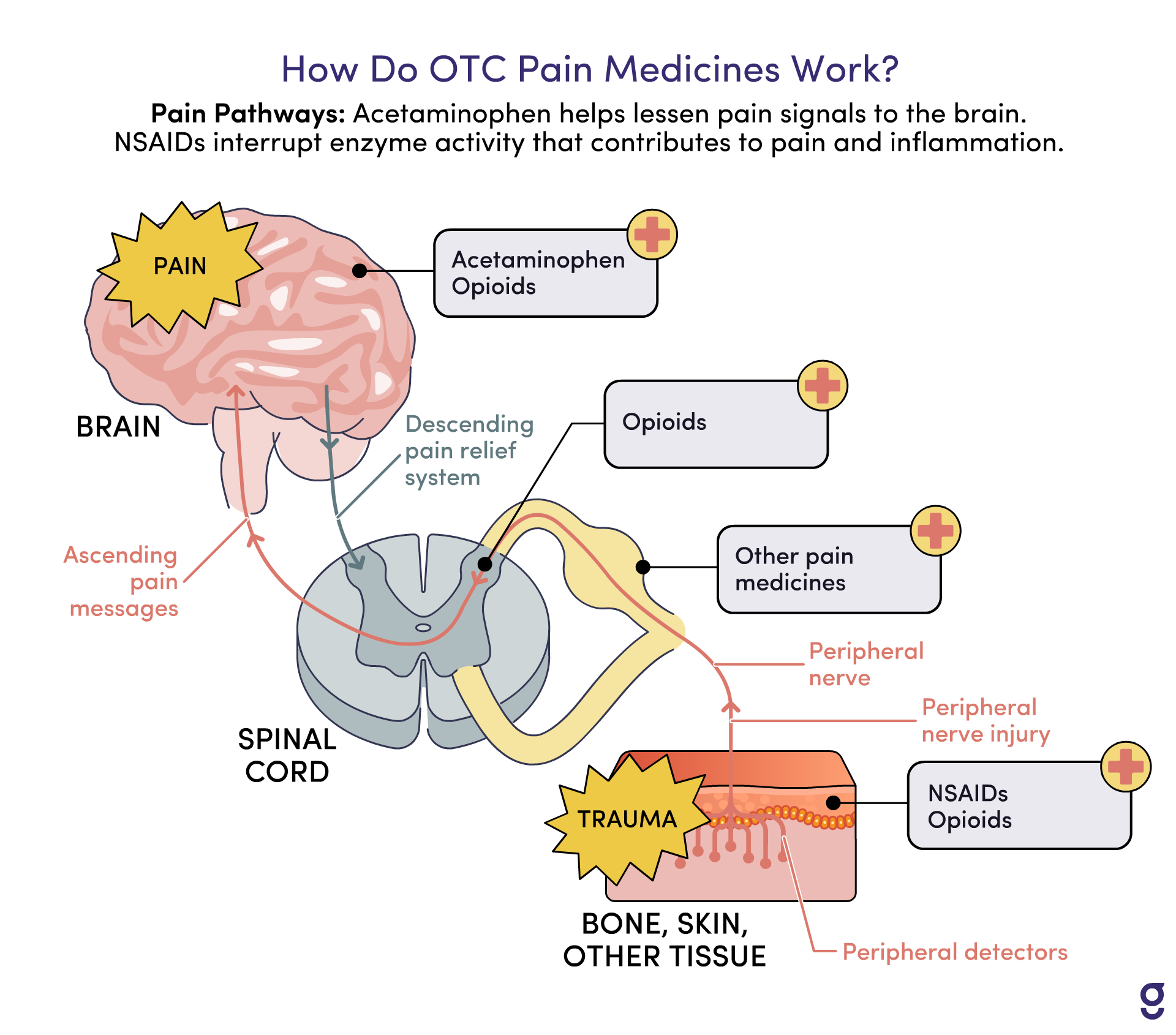 What’s The Best Medicine For Back Pain? 4 Of The Best OTC Back Pain ...