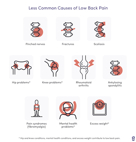 Why Does My Lower Back Hurt Every Day? Causes, Treatments & When to See ...