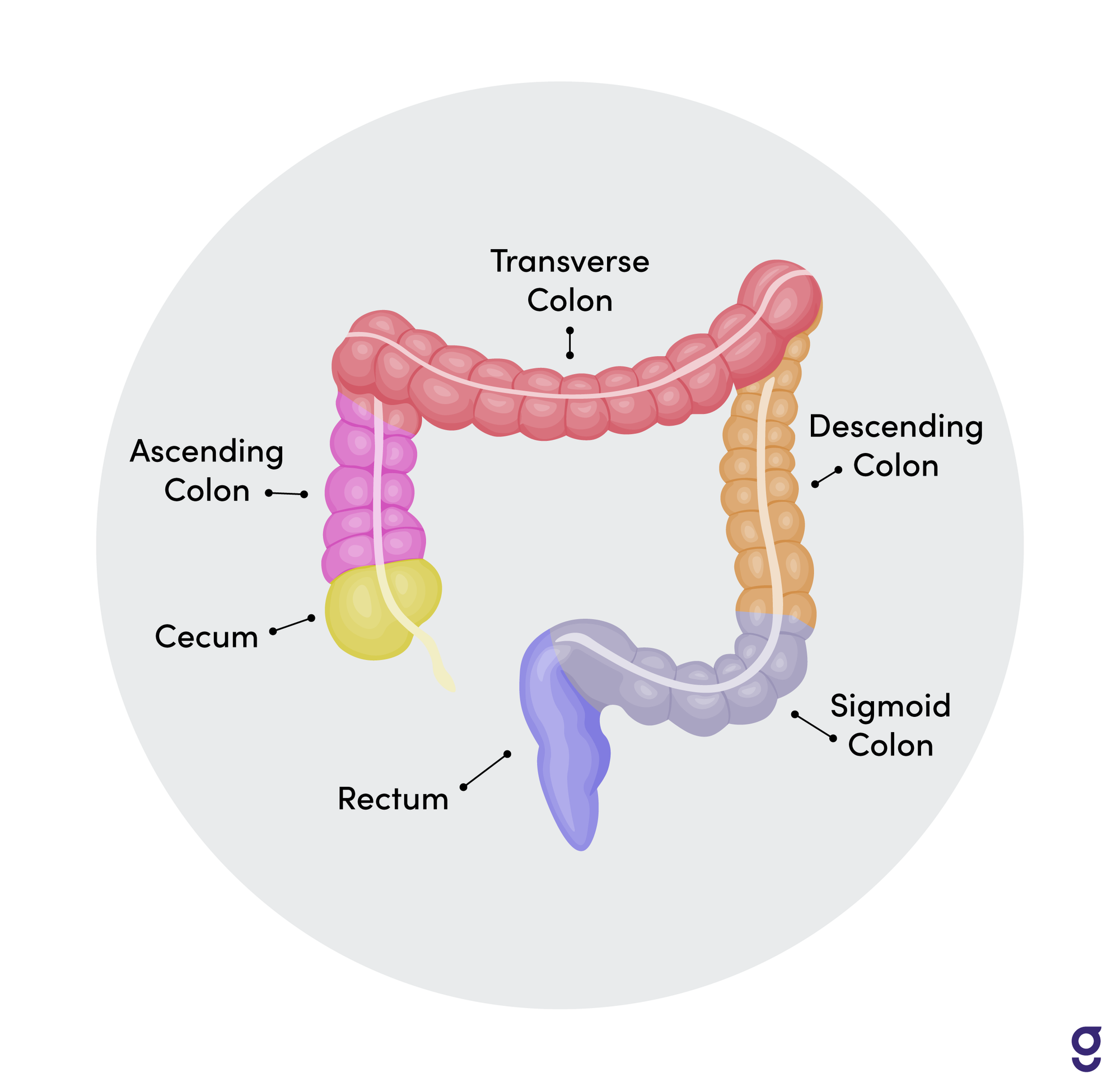 Colorectal Cancer Screening US