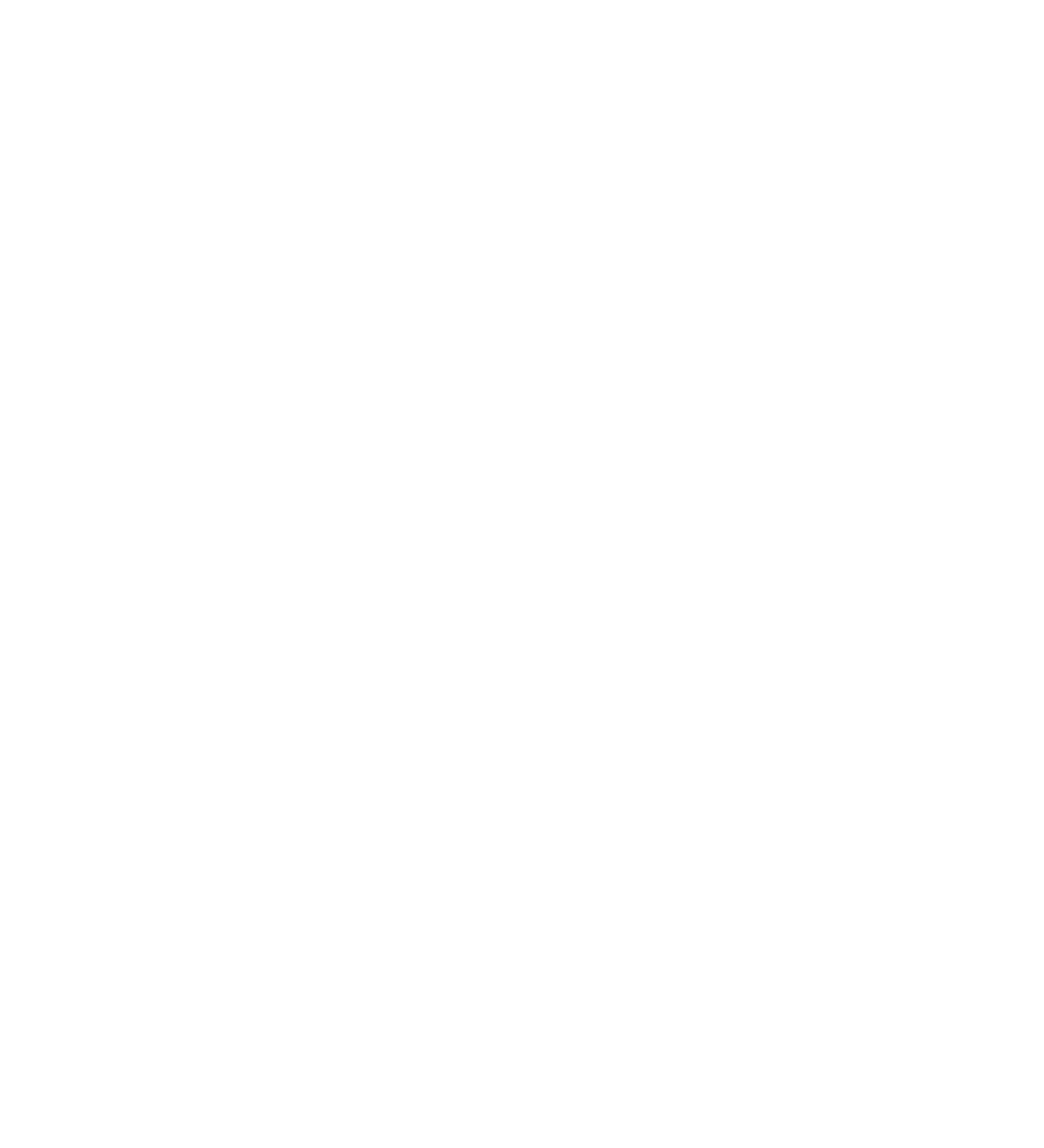 Decimal Logo White.png