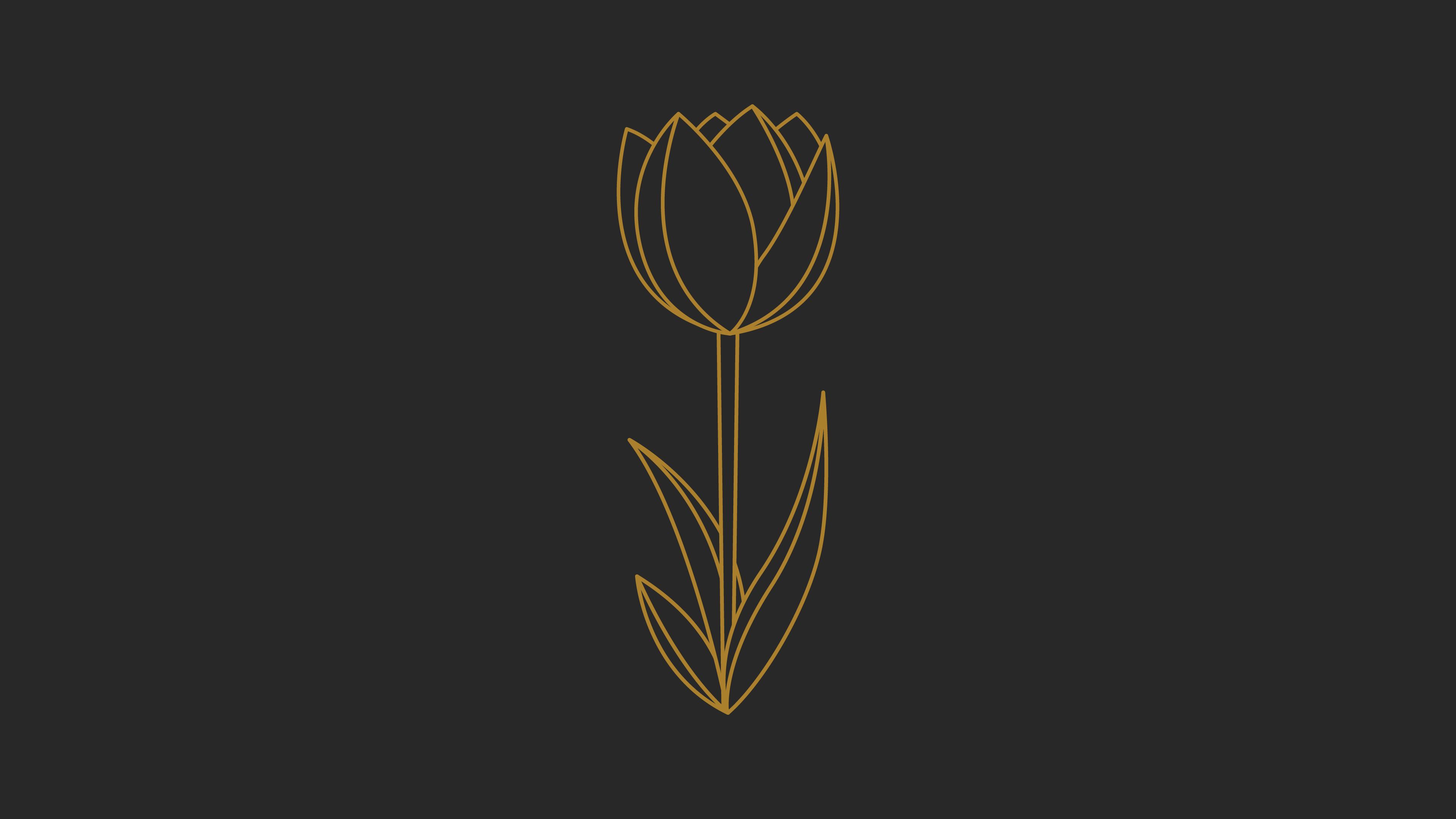 What Are the Five Points of Calvinism? :: Reformation Bible College
