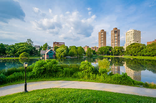 A Harlem park scene with lush greenery, a reflective lake, and a small building by the water. Tall buildings rise in the background under a blue sky.
