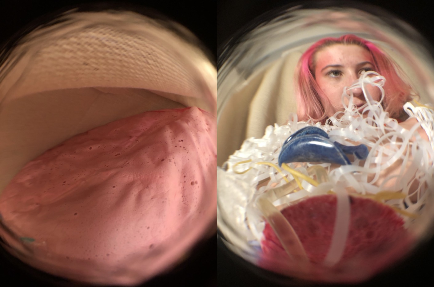 Amy O’Mara Slide 3 - Project Documentation