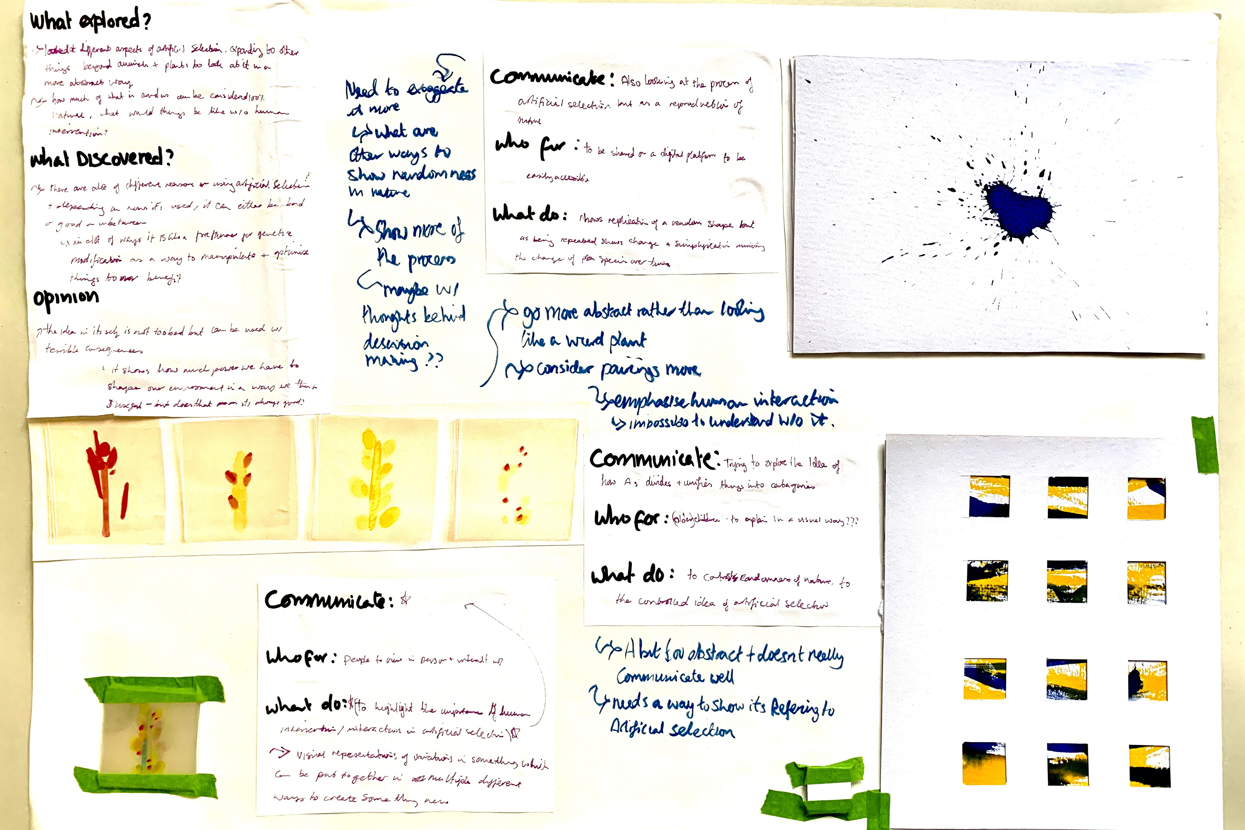 Cornwell-Davison Cadi BTS 3