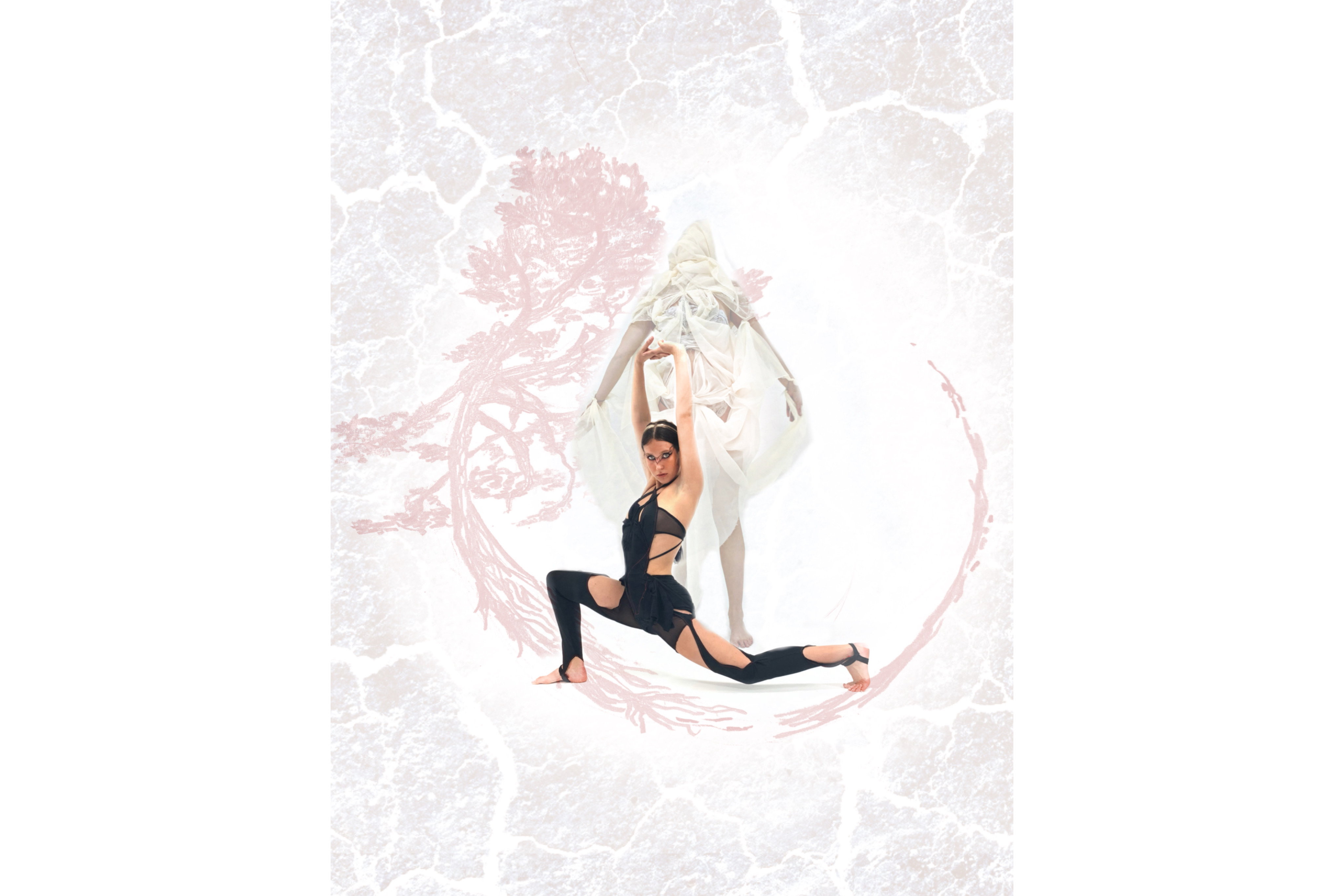 Jenna Tatham slide 2.