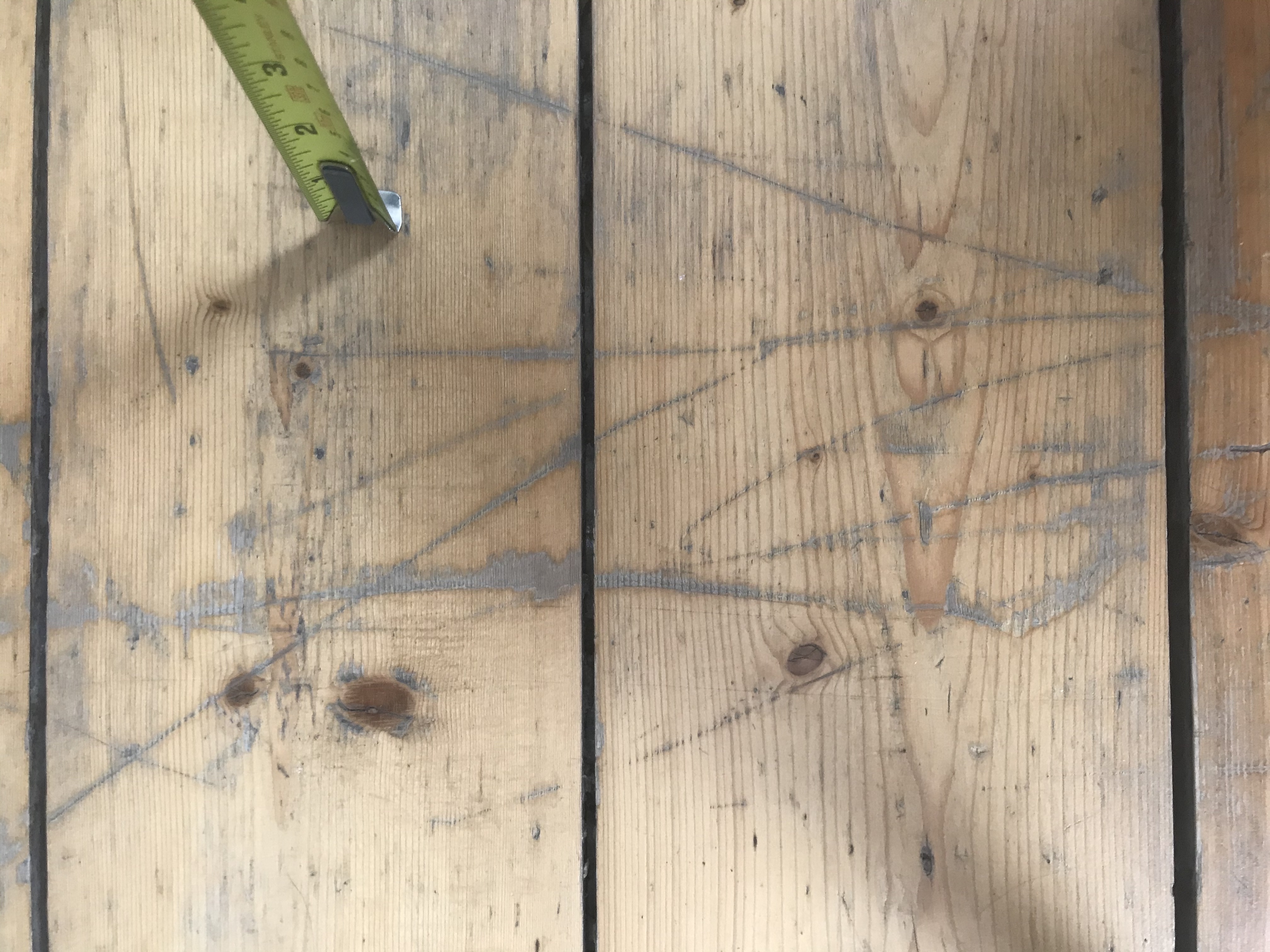 colewire olive BTS 2