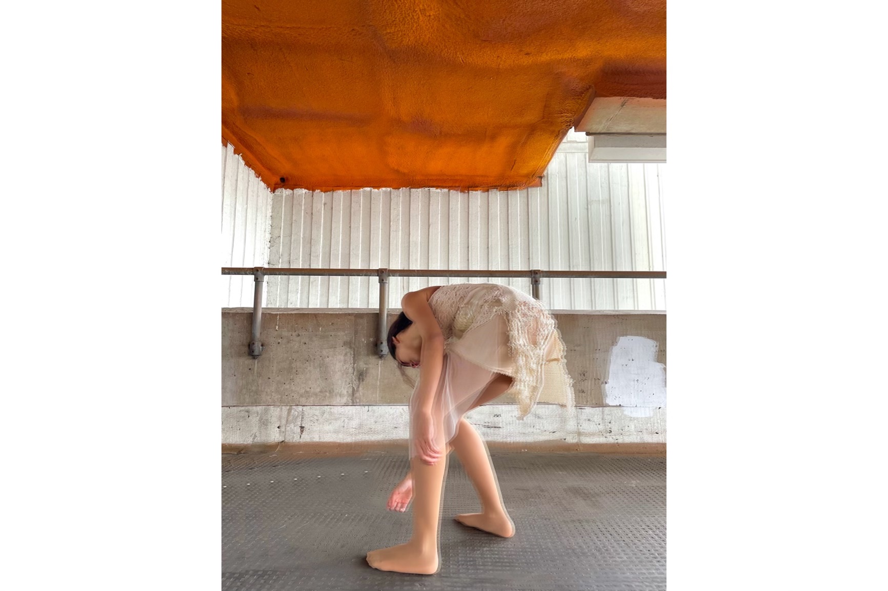 Lydia Noronha Project Documentation Slide 3