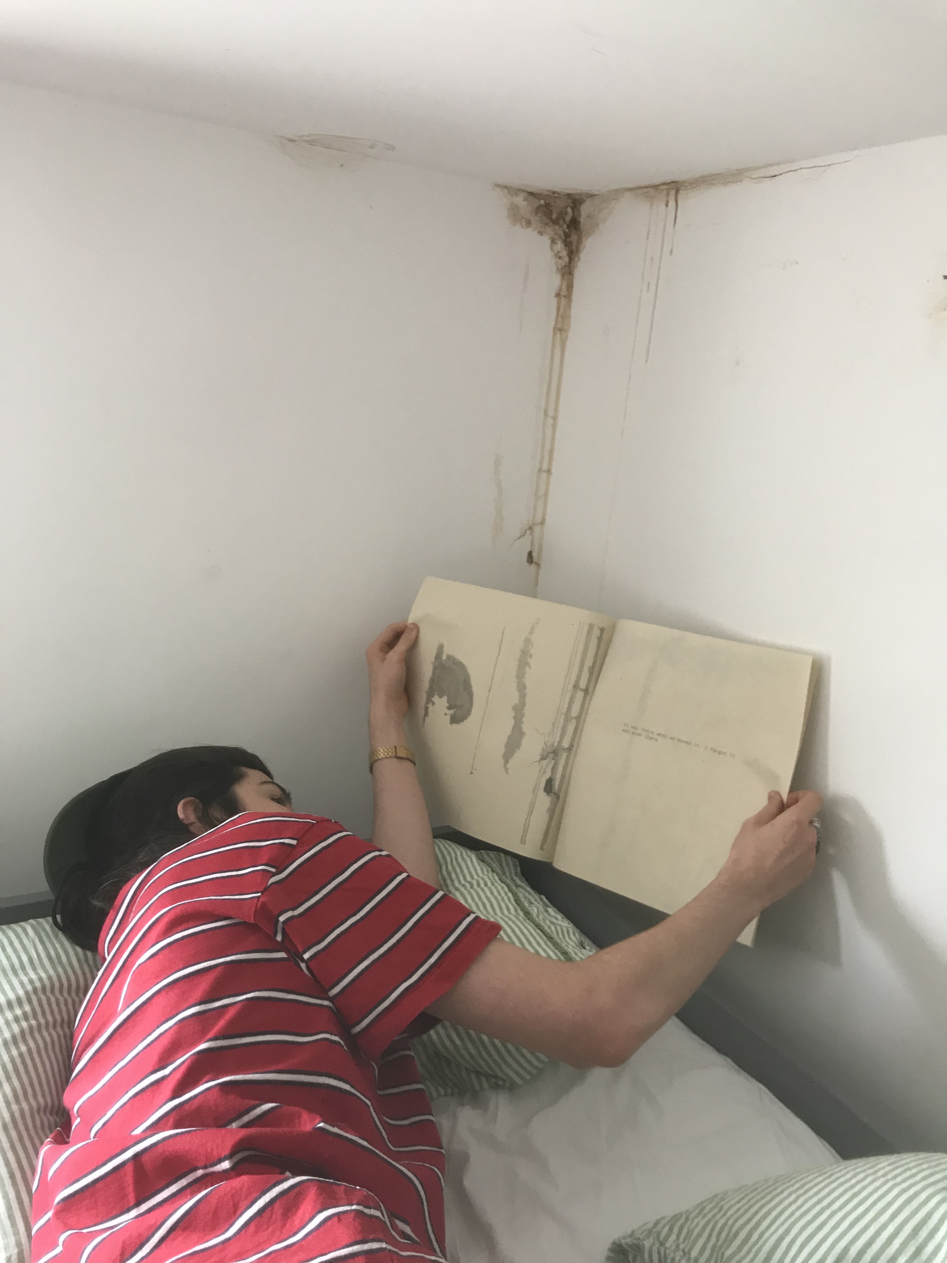 colewire olive BTS 1