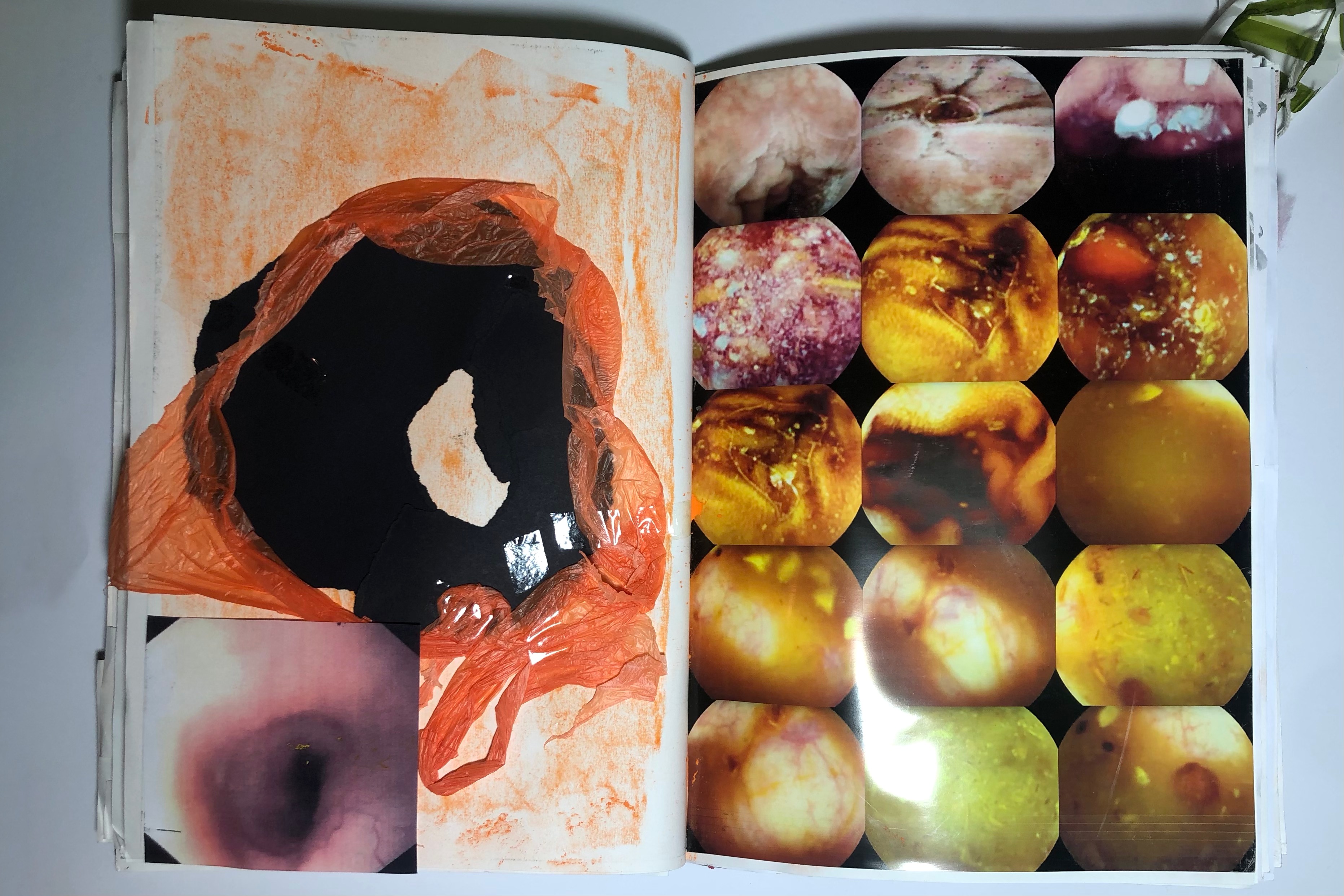 Amy O'Mara Behind The Scenes 3