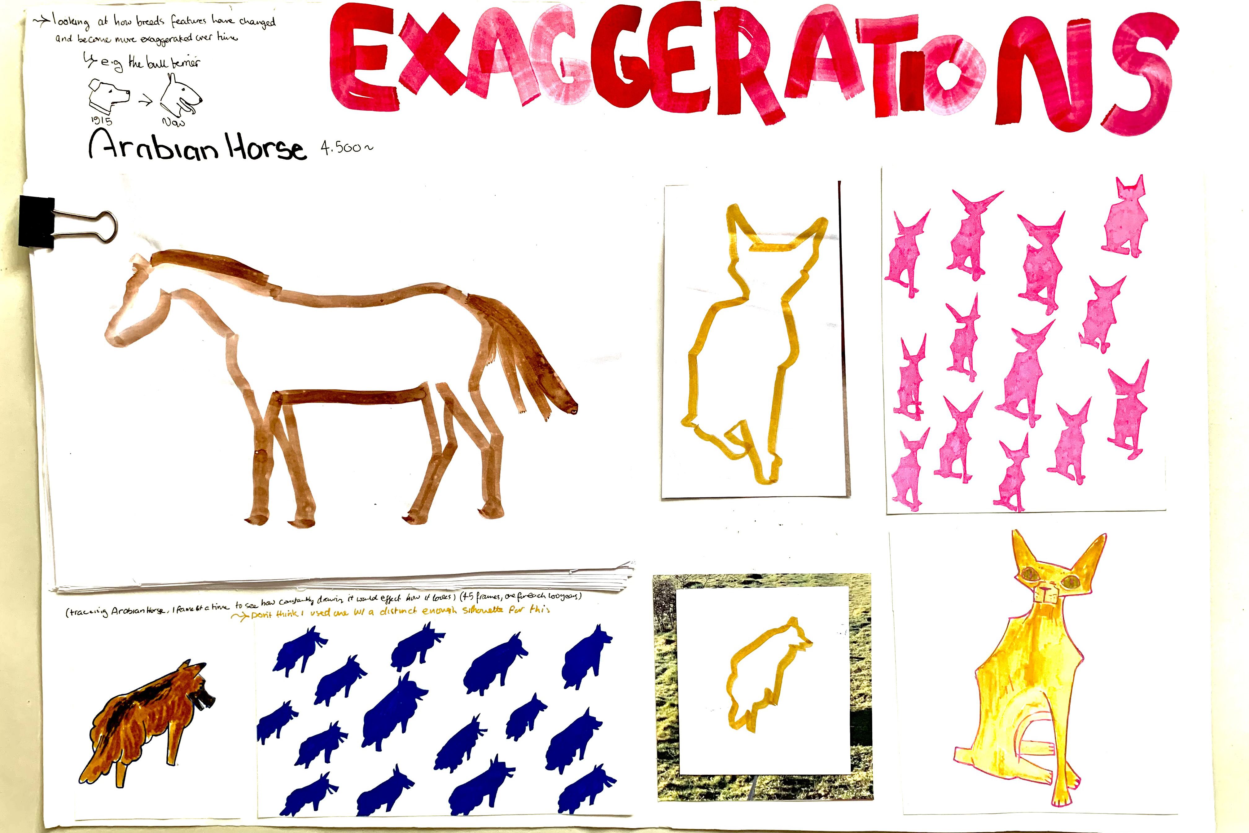 Cornwell-Davison Cadi BTS 1