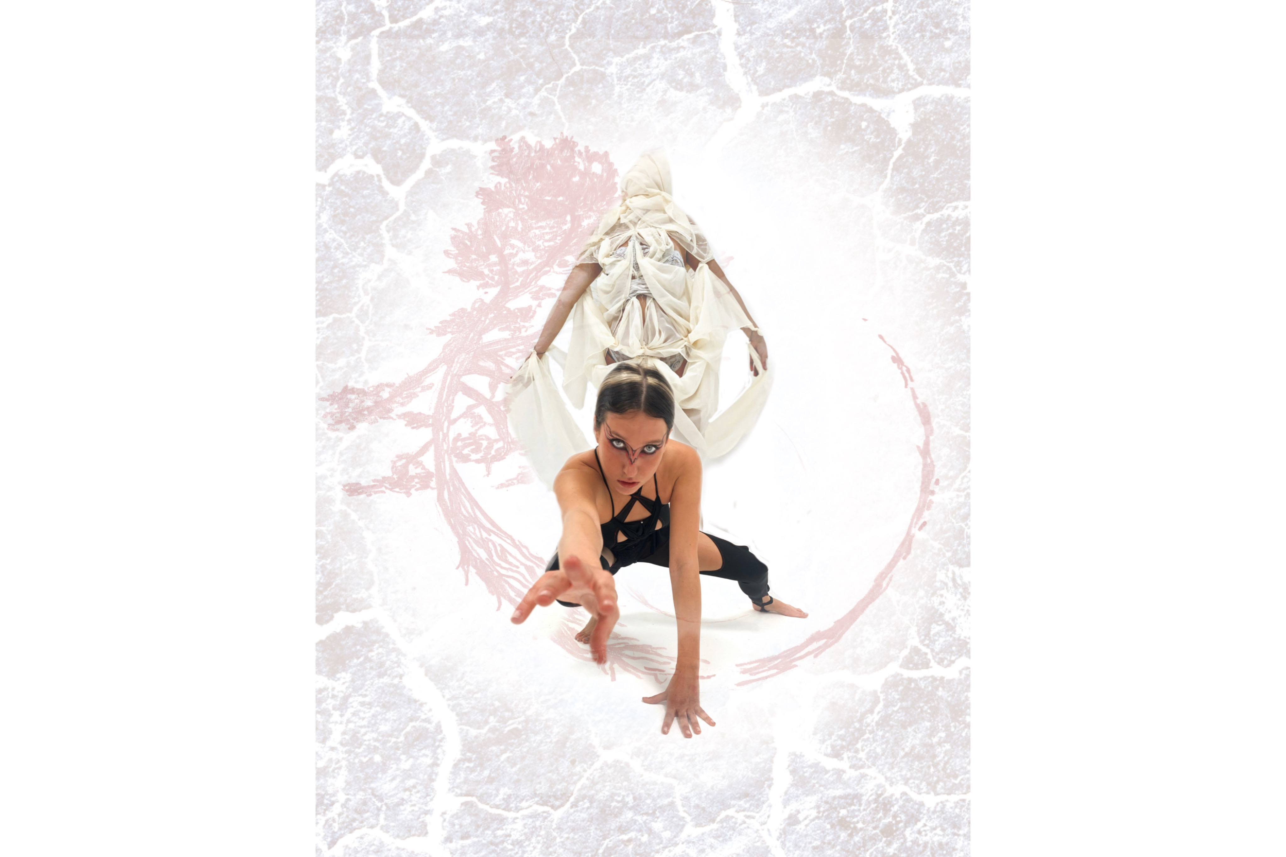 Jenna Tatham slide 3.