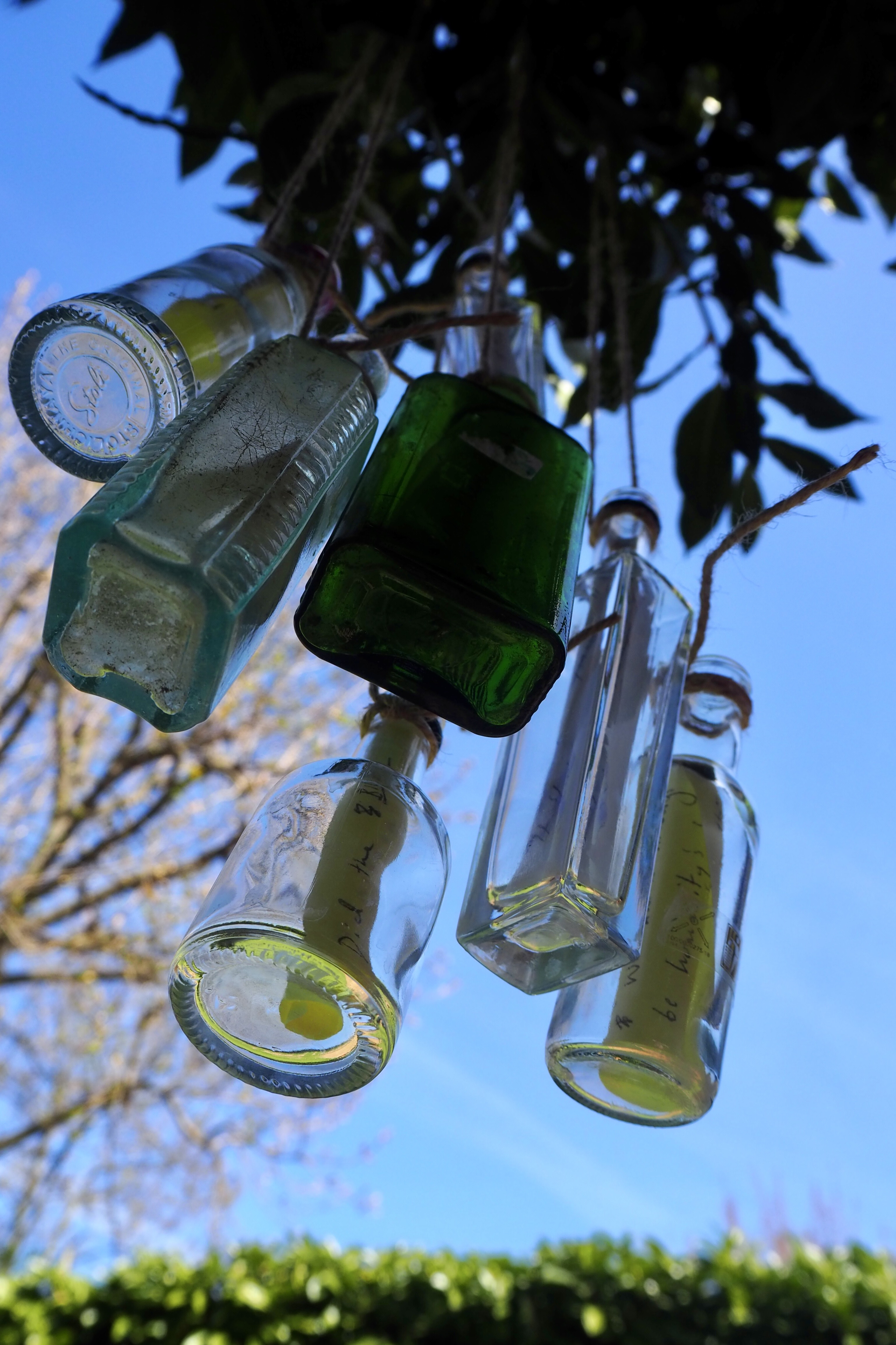 Evie Ames Behind the scenes