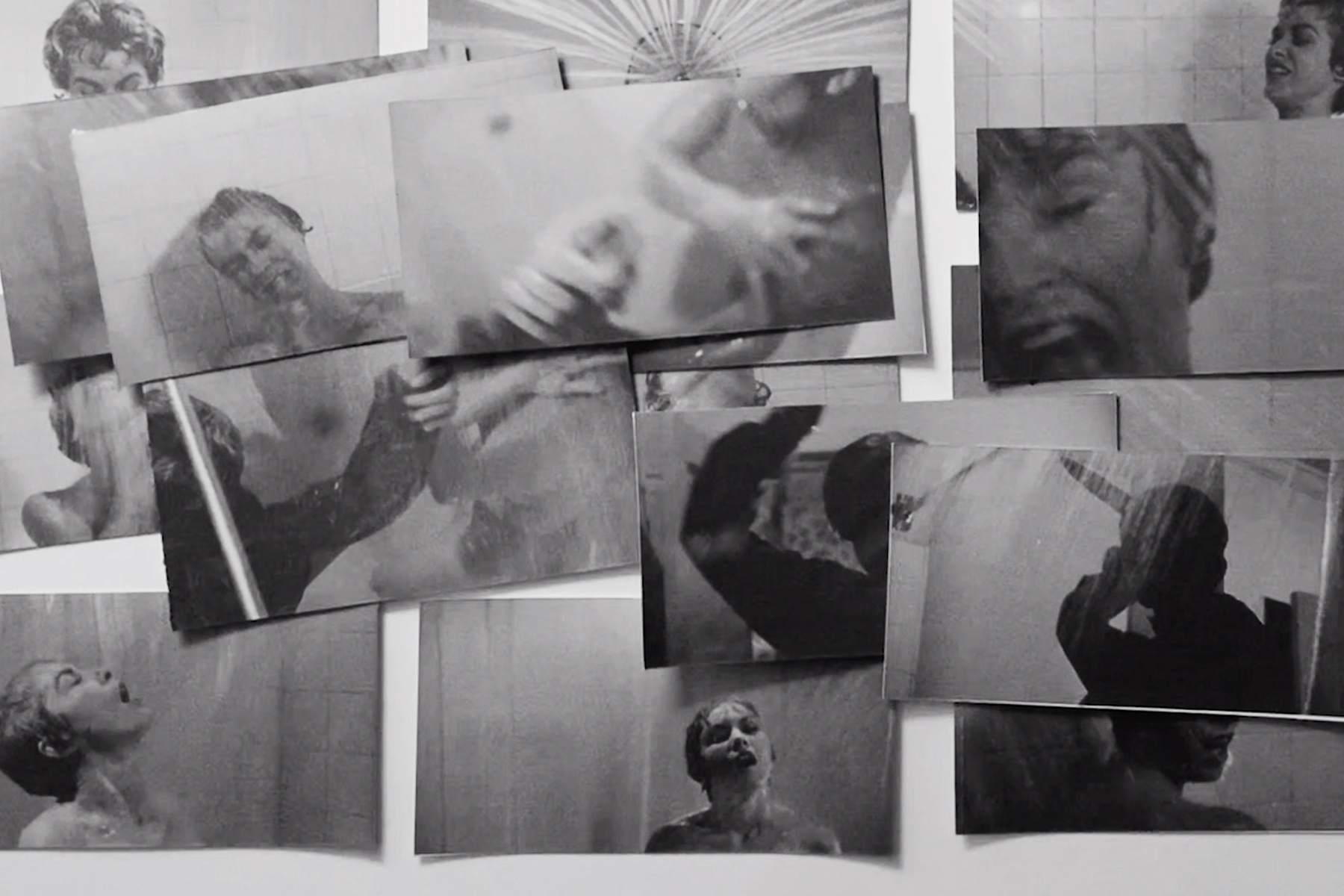 Shrimpton James Slide 3