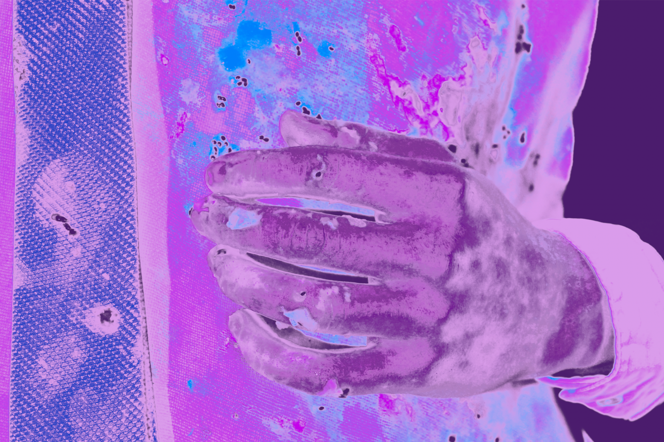 Maya KingDabbs slide 3