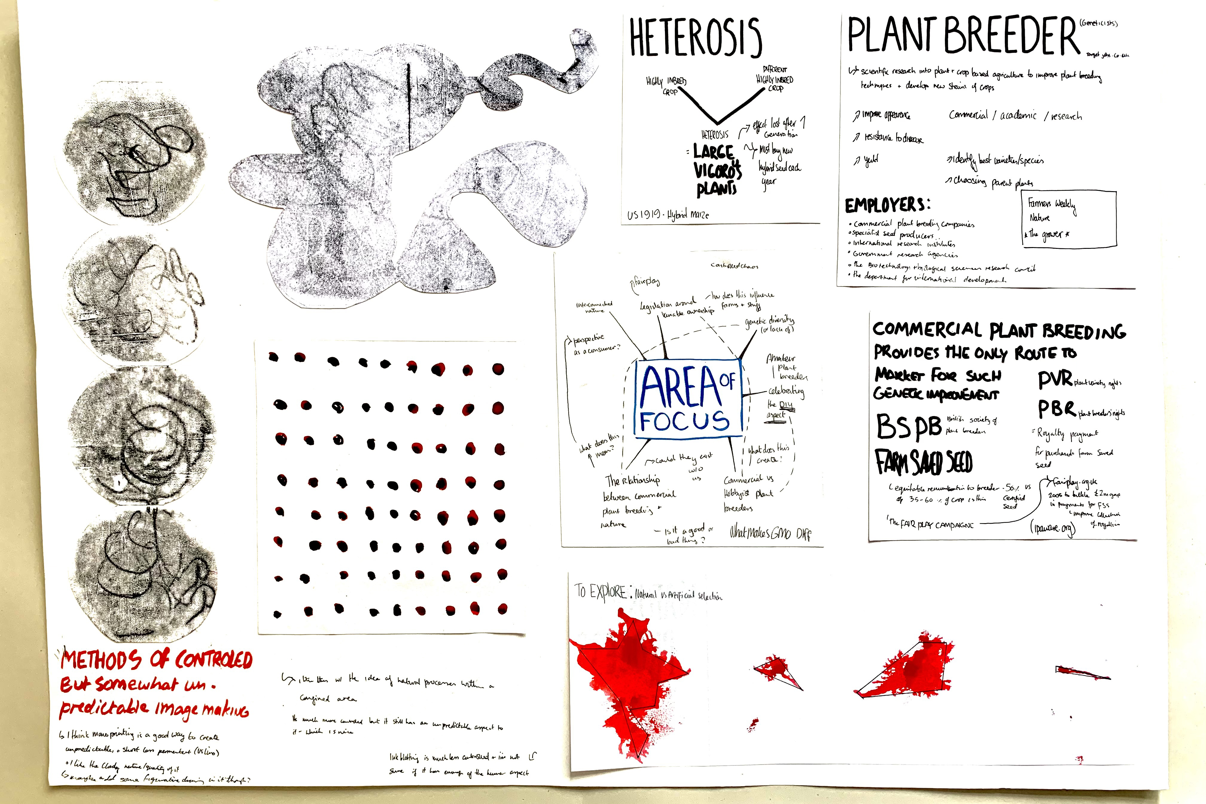 Cornwell-Davison Cadi BTS 4