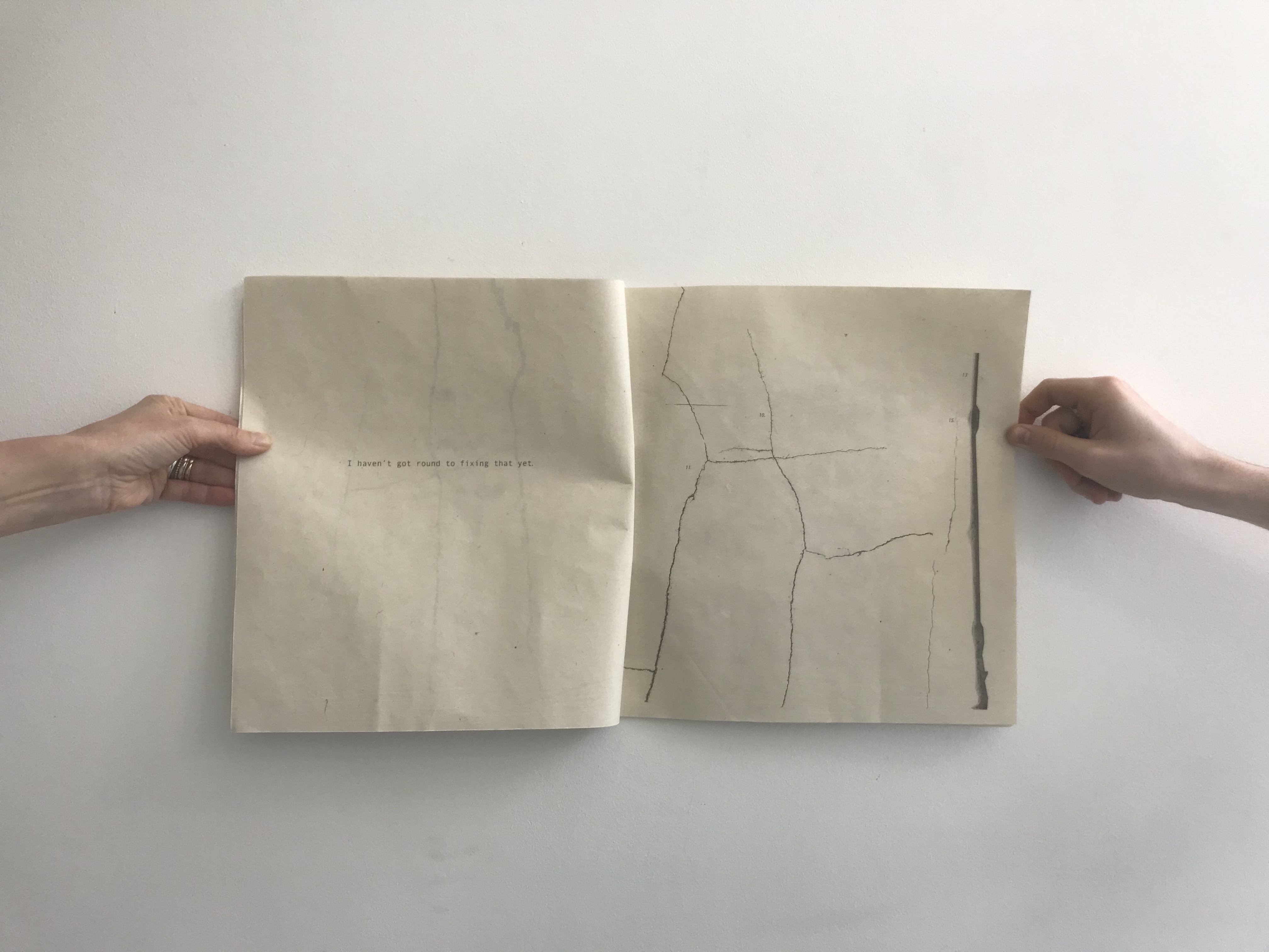 colewire olive slide1