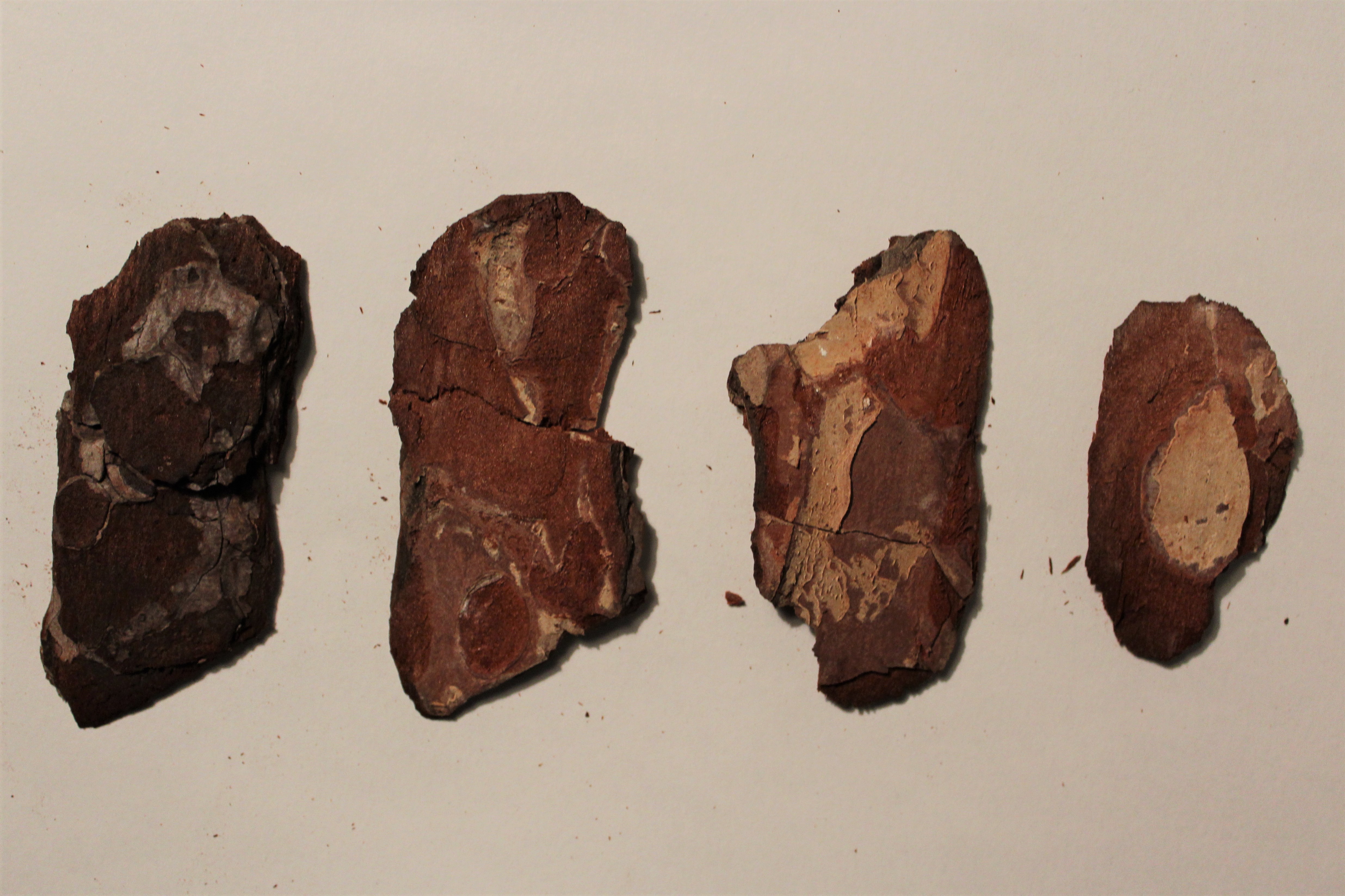 AaronMighty BehindTheScenes1