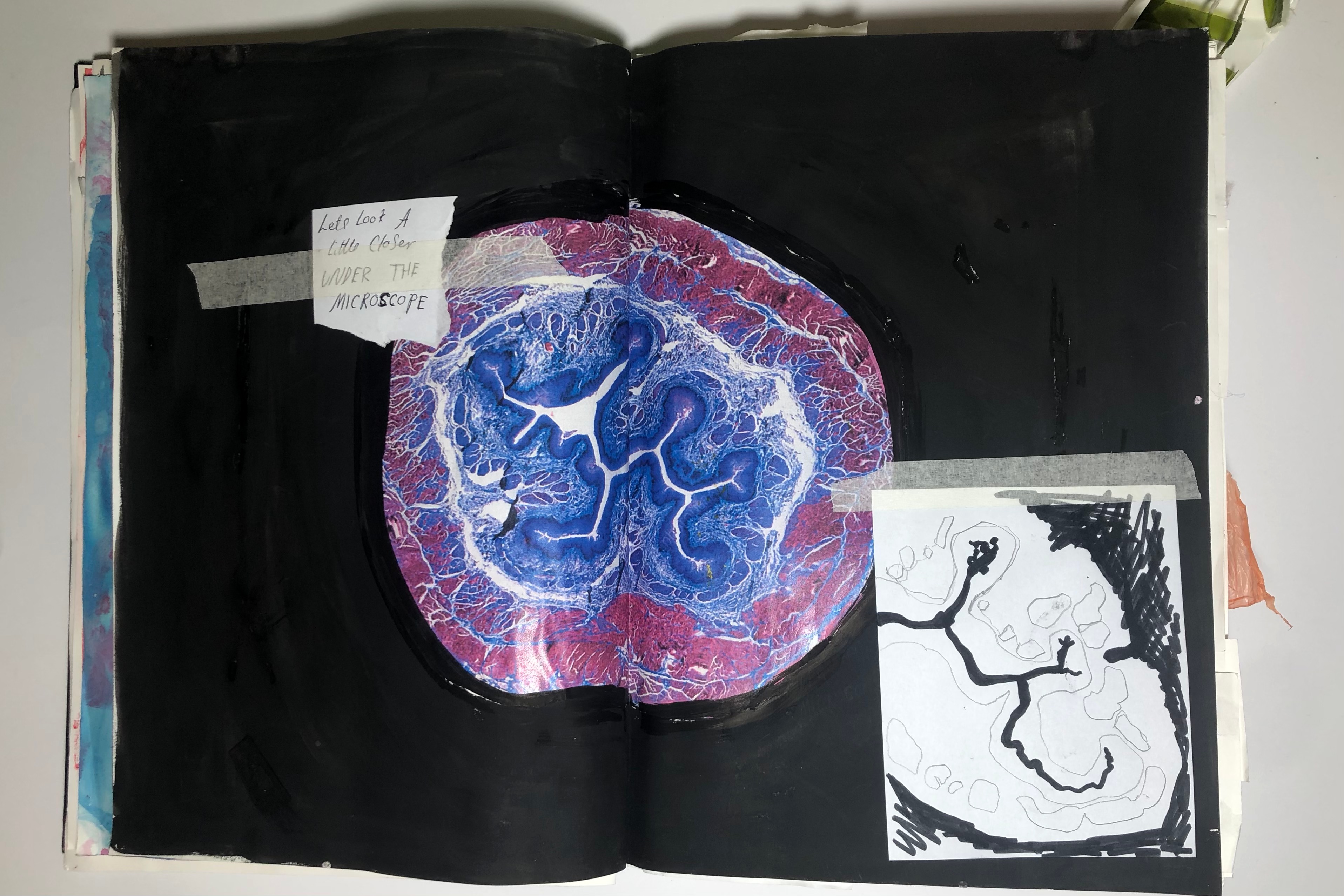 Amy O'Mara Behind The Scenes 2