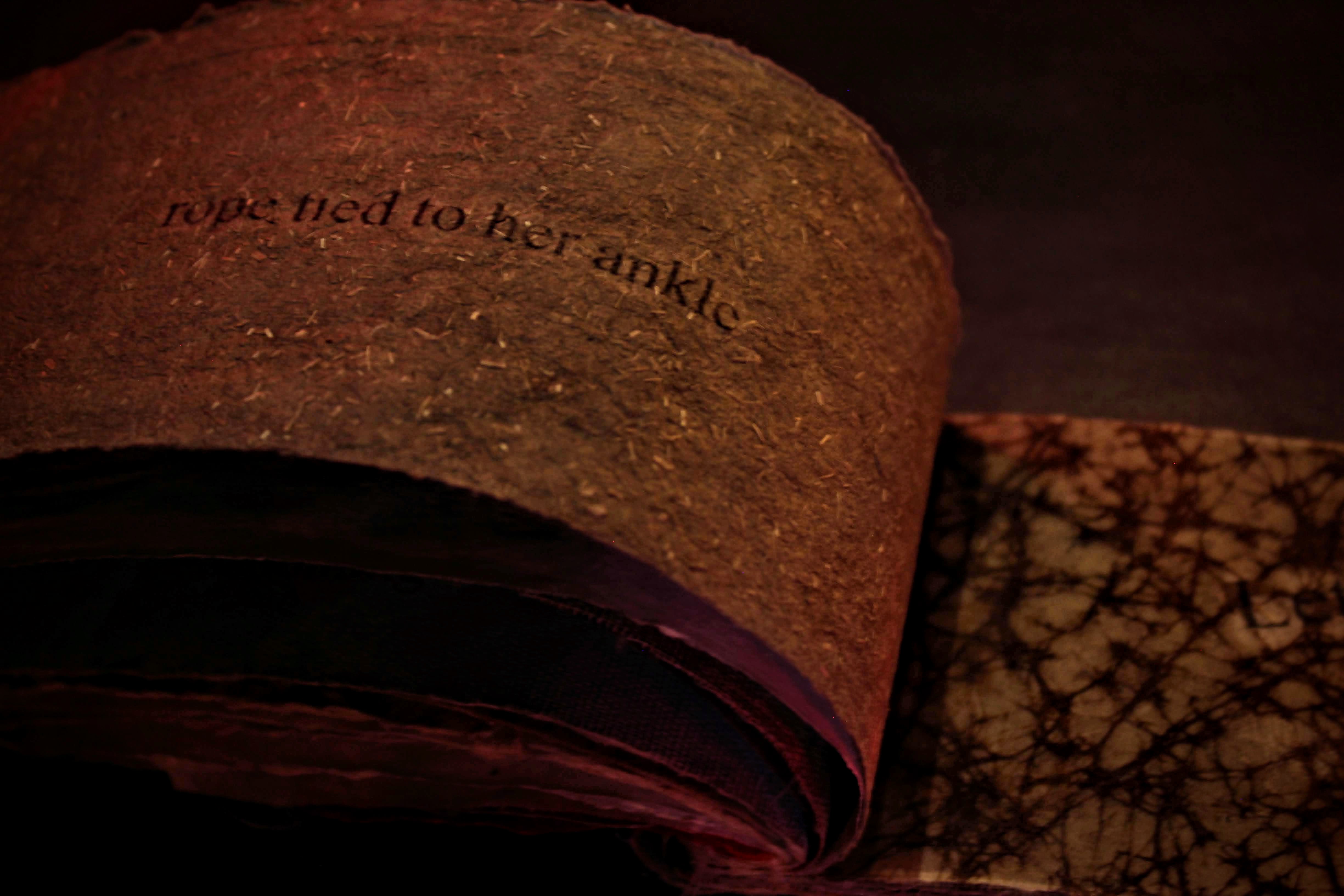 Wainer Cerys Slide 2