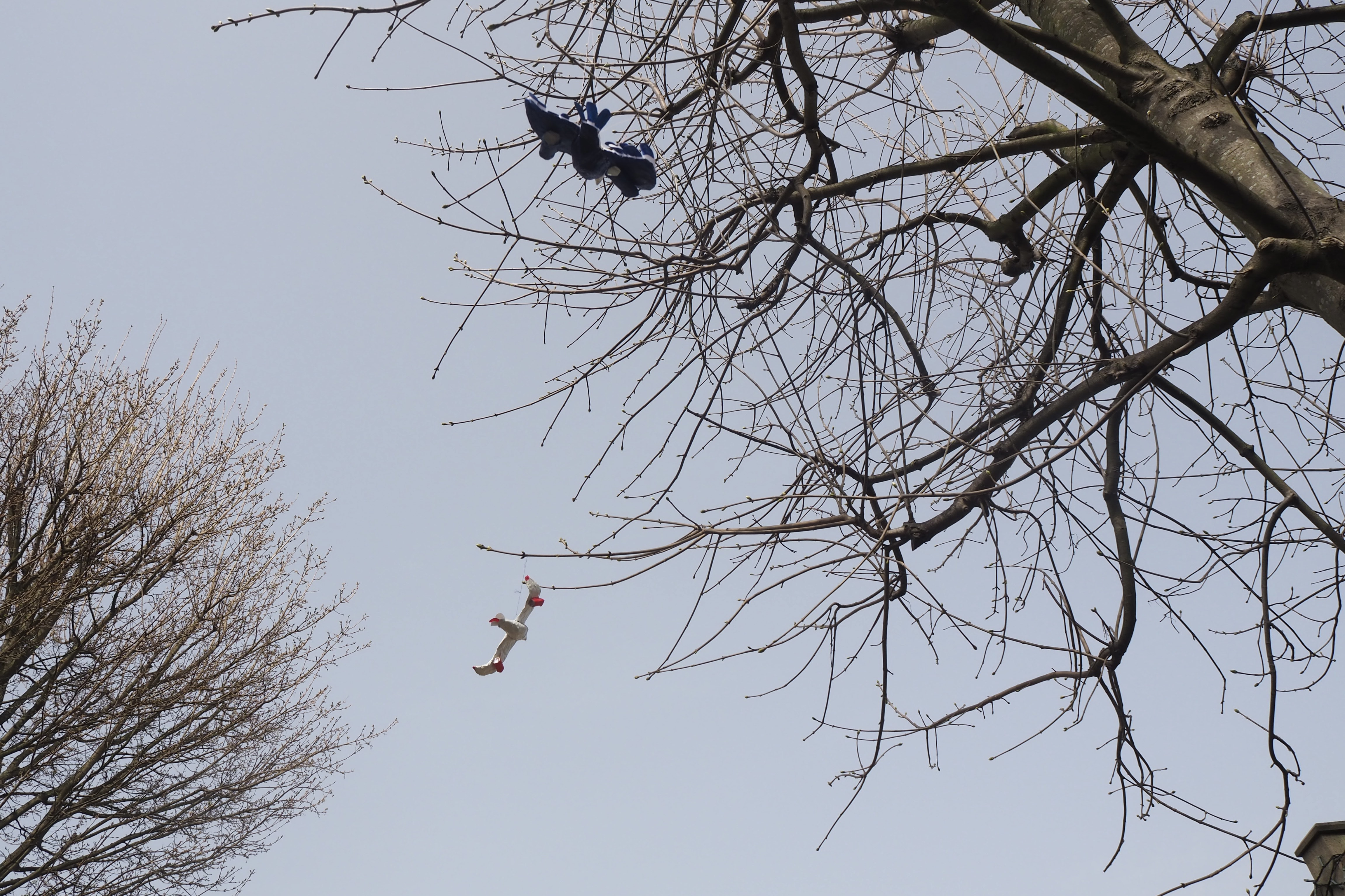 Evie Ames behind the scenes 2