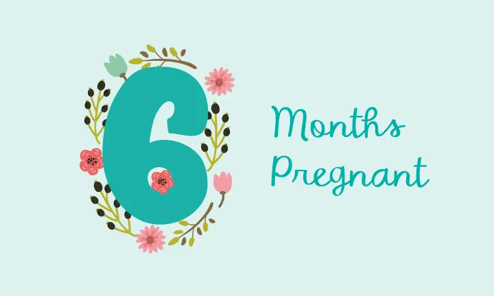 6 Months Pregnant