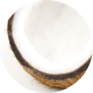 Coconut Extract Ingredient