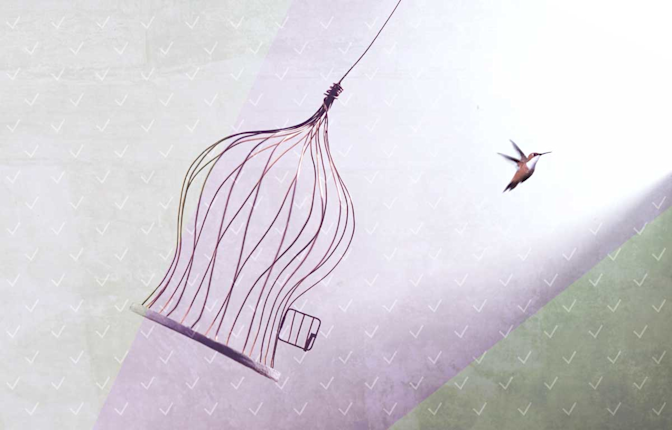 Pay down your loan faster