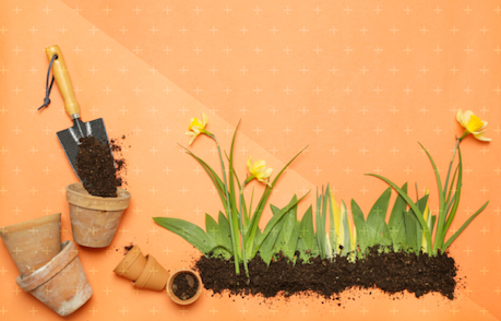 Learn - Best place to buy investment property Hero