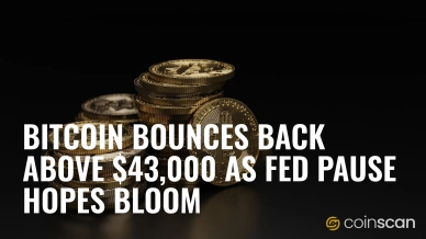 Bitcoin Bounces Back Above $43,000 as Fed Pause Hopes Bloom.jpg