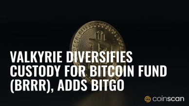 Valkyrie Diversifies Custody for Bitcoin Fund (BRRR), Adds BitGo.jpg