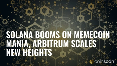 Solana booms on memecoin mania, Arbitrum scales new heights.jpg