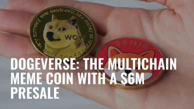 Dogeverse The Multichain Meme Coin with a $6M Presale.jpg