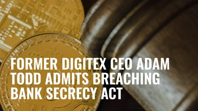 Former Digitex CEO Adam Todd Admits Breaching Bank Secrecy Act.jpg