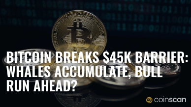 Bitcoin Breaks $45k Barrier Whales Accumulate, Bull Run Ahead.jpg