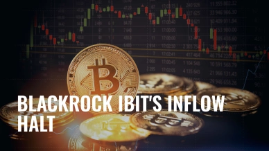 Blackrock IBITs Inflow Halt.jpg