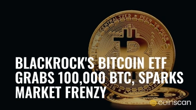 BlackRock-s Bitcoin ETF Grabs 100,000 BTC, Sparks Market Frenzy.jpg