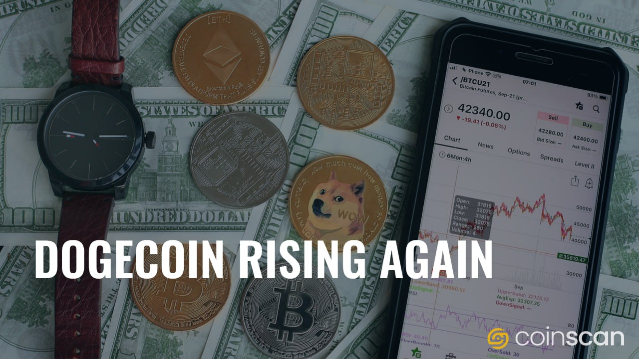 Into the Spotlight: Dogecoin's Unexpected Resurgence and Future Projections