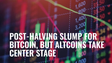 Post-Halving Slump for Bitcoin, But Altcoins Take Center Stage.jpg