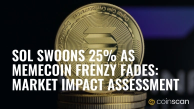 SOL Swoons 25- as Memecoin Frenzy Fades Market Impact Assessment.jpg