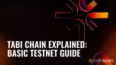 Tabi Chain Testnet Guide.jpg