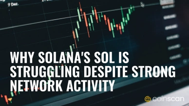 Why Solana-s SOL is Struggling Despite Strong Network Activity.jpg