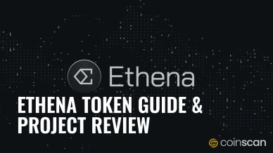 Ethena Token Guide Project Review.jpg
