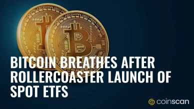 Bitcoin Breathes After Rollercoaster Launch of Spot ETFs.jpg