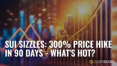 Sui Sizzles 300- Price Hike in 90 Days - What-s Hot.jpg