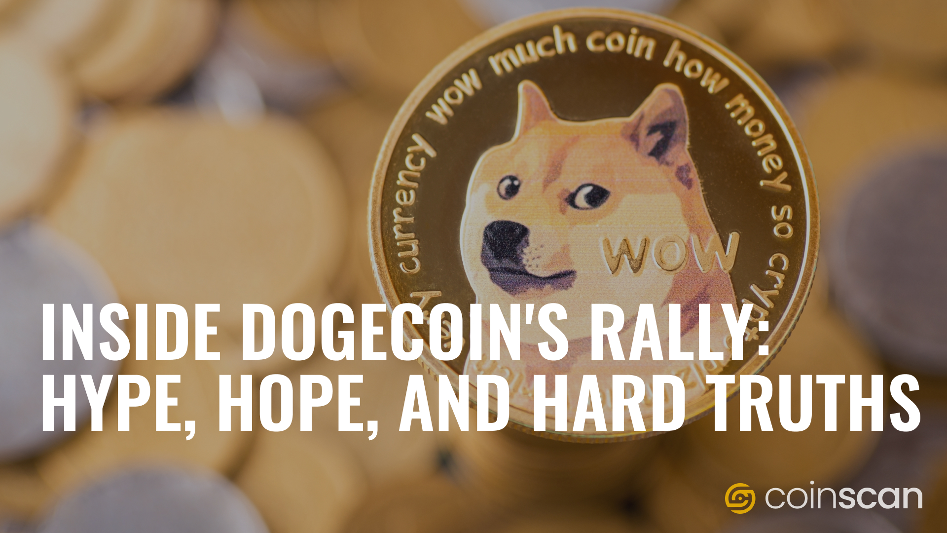 Inside Dogecoin's Rally Hype, Hope, and Hard Truths