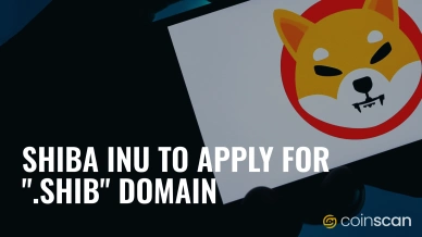 Shiba Inu to Apply for .shib Domain Building a Shib-Centric Internet Playground.jpg