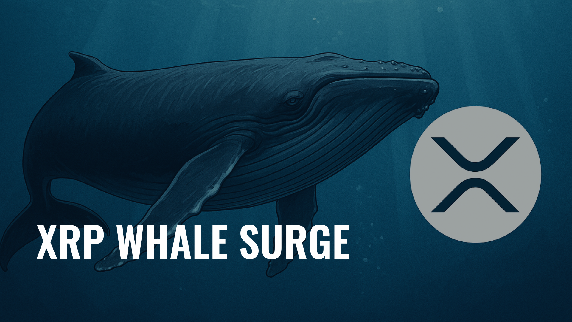 XRP Whale Addresses Reach Record High as Institutional Interest Grows