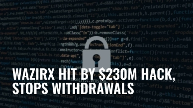 WazirX Hit by $230M Hack, Stops Withdrawals.jpg