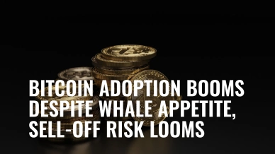 Bitcoin Adoption Booms Despite Whale Appetite, Sell-Off Risk Looms.jpg