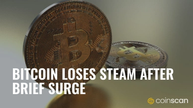 Bitcoin Loses Steam After Brief Surge.jpg
